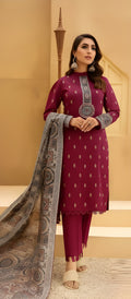 Dhanak Embroidered 3-Piece Suit