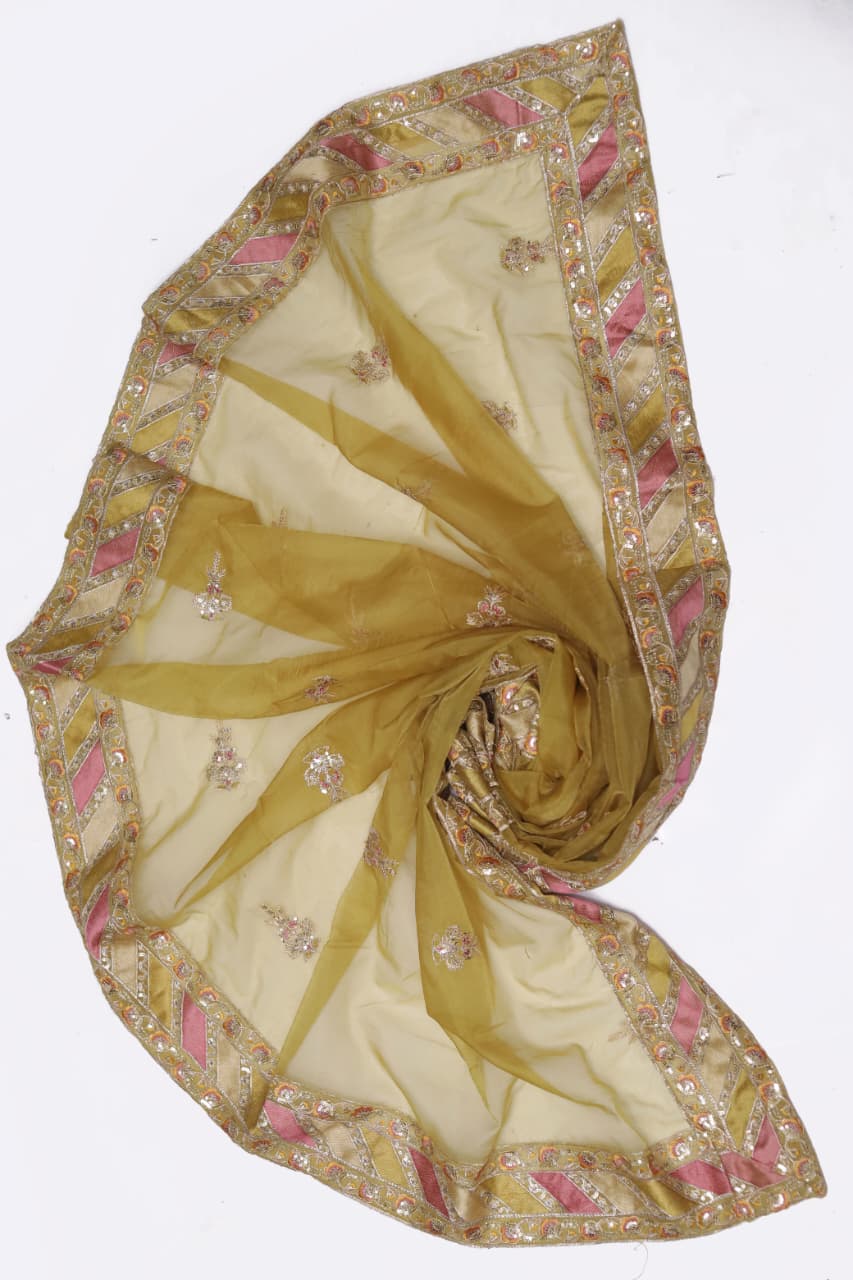 Luxury Organza Sequins Party Wear Suit